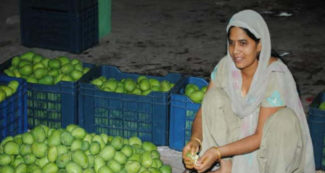 कभी 500 रुपये से की थी शुरुआत, महिला किसान ने ऐसे खड़ी कर दी करोड़ों की कंपनी