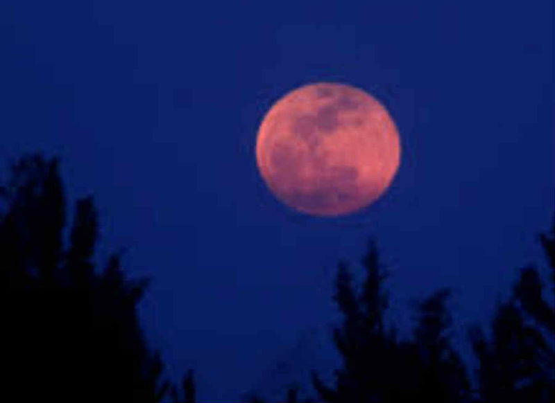 21 अप्रैल, मंगलवार का राशिफल : चार राशियों में चंद्रयोग, मन रहेगा चंचल और अशांत