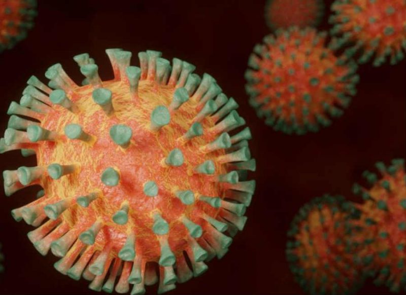तो क्‍या महामारी SARS की तरह खत्म हो सकता है Corona virus ? वैज्ञानिकों को मिली अहम जानकारी