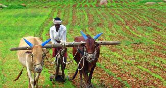 दिवाली से पहले मोदी सरकार ने किसानों को दिया बड़ा तोहफा, जानिये नया ऐलान