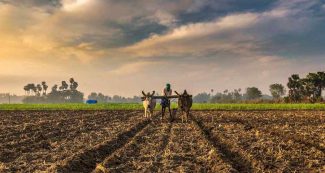 सिर्फ 55 रुपये देकर 3 हजार मंथली हासिल कर सकते हैं किसान, मोदी सरकार की जबरदस्त योजना