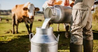 किसान ने गाय के दूध से पैसे कमाकर बनवाया 1 करोड़ का बंगला, दिलचस्प है सक्सेस स्टोरी